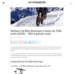 Meilleur Fat Bike électrique à moins de 2500 euros (2020) - Vélo à grosses roues