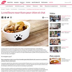 La meilleure nourriture pour chien et chat