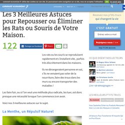 Les 3 Meilleures Astuces pour Repousser ou Éliminer les Rats ou Souris de Votre Maison.