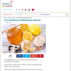 Les 5 meilleurs antibiotiques naturels