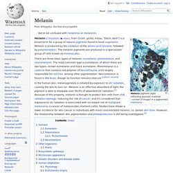 Melanin - Wikipedia