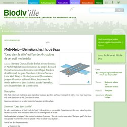 Méli-Mélo - Démêlons les fils de l'eau- Biodiv'ille