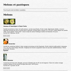 Melons et pastèques - Semences Solana