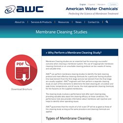 Membrane Cleaning Studies