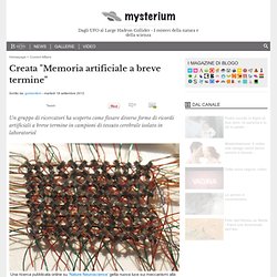 Scienza: Creata "Memoria artificiale a breve termine" - Mysterium