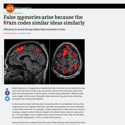 False memories arise because the brain codes similar ideas similarly
