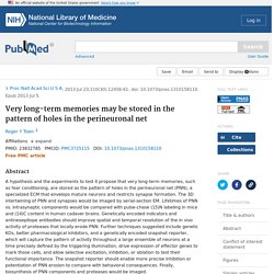 Very long-term memories may be stored in the pattern of holes in the perineuronal net