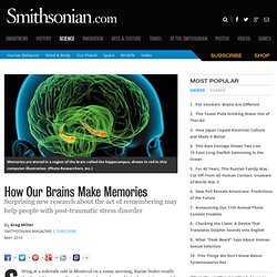 How Our Brains Make Memories