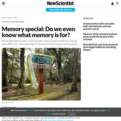 Memory special: Do we even know what memory is for?