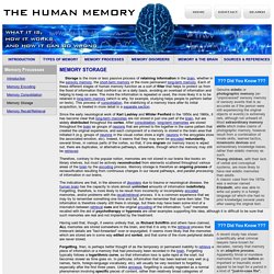 Memory Storage - Memory Processes - The Human Memory
