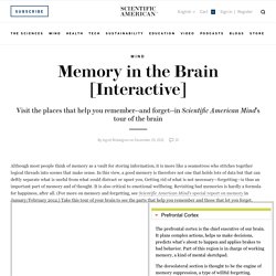 Memory in the Brain [Interactive]