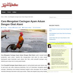 Cara Mengatasi Cacingan Ayam Aduan Dengan Obat Alami - Tajen Online