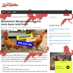 Menjelaskan Mengenai Keunggulan Jenis Ayam Jalak Emas - Tajen Online