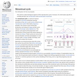 Menstrual cycle - Wikipedia