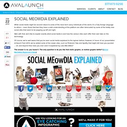 Social MEowDia Explained - Avalaunch Media