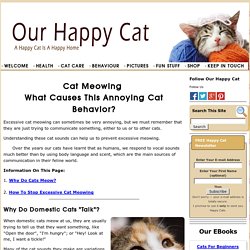 Cat Meowing Excessively? Find Out Why Here!