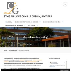 Mercatique (Marketing) – STMG au Lycée Camille Guérin, Poitiers
