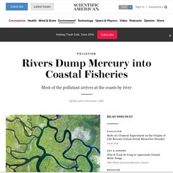 SCIENTIFIC AMERICAN 01/11/21 Rivers Dump Mercury into Coastal Fisheries