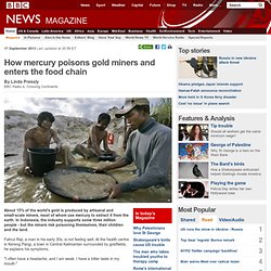 How mercury poisons gold miners and enters the food chain