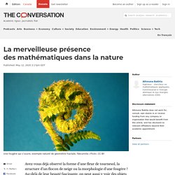 La merveilleuse présence des mathématiques dans la nature