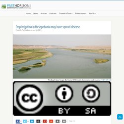 Crop irrigation in Mesopotamia may have spread disease
