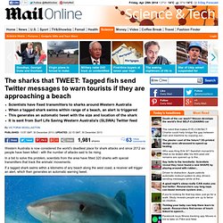 Tagged sharks send Twitter messages to warn tourists if they are approaching a beach