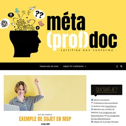 méta(prof)doc - Exemple de sujet en MSP