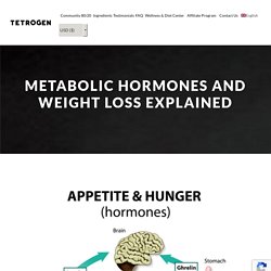 Metabolic Hormones and Weight Loss Explained - Tetrogen USA