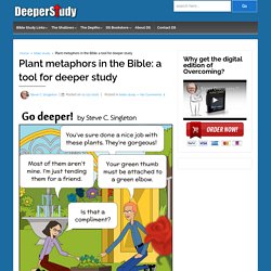 Plant metaphors in the Bible: a tool for deeper study – DeeperStudy