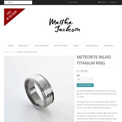 Meteorite Inlaid Titanium Ring