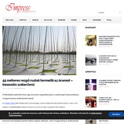 55 méteres rezgő rudak termelik az áramot – innovatív szélerőmű - Impress Magazin