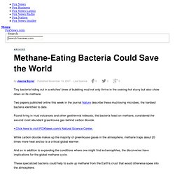 Methane-Eating Bacteria Could Save the World - Science News