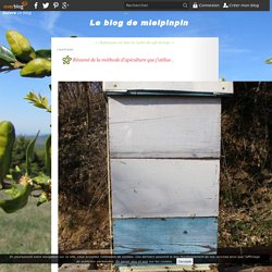 Résumé de la méthode d'apiculture que j'utilise . - Le blog de mielpinpin