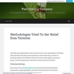 Methodologies Used To Get Relief from Spiders
