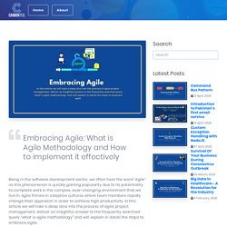 Embracing Agile: What is Agile Methodology and How to implement it effectively