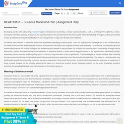 MGMT13151 - Business Model and Plan