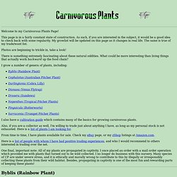 Michael Zenner's Carnivorous Plants