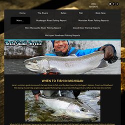 When To Fish Michigan Steelhead