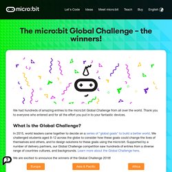 The micro:bit Global Challenge – the winners!