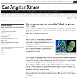 Microbe census maps out human body's bacteria, viruses, other bugs - Page 2