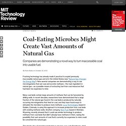 Coal-Eating Microbes Might Create Vast Amounts of Natural Gas