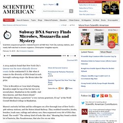 Subway DNA Survey Finds Microbes, Mozzarella and Mystery