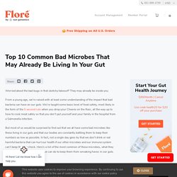 Top 10 Common Bad Microbes That May Already Be Living In Your Gut