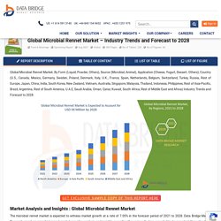 Microbial Rennet Market