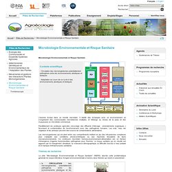 UMR Agroécologie - Microbiologie Environnementale et Risque Sanitaire