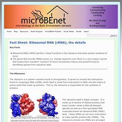 microBEnet: The microbiology of the Built Environment network.