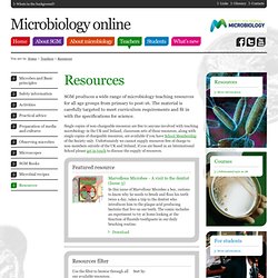 Microbiology posters and booklets