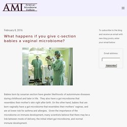 Microbiome Blog — The American Microbiome Institute