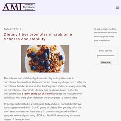 Dietary fiber promotes microbiome richness and stability — The American Microbiome Institute