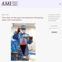 The fate of the gut microbiome following stem cell transplant — The American Microbiome Institute